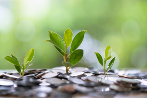 Webinar: Introduction to Sustainable Investing – Discover the Future of Finance